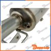 Filtres à Particules Diesel EURO5 pour PEUGEOT | DPF-PE-007, 095-355